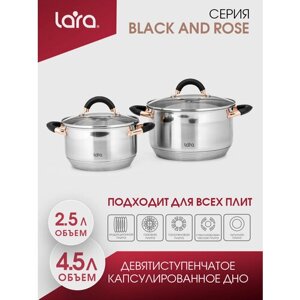 Набор посуды LARA LR02-116 Black and Rose, 2,5 л, 4,5 л, нержавеющая сталь, для всех видов плит, 2 предмета