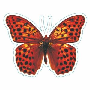 Наклейка "Бабочка", большая, вид 1, 240х200мм, Арт рэйсинг