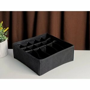 Органайзер для белья «Смарт», 15 отделений, 303011 см, цвет черный