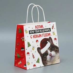 Пакет подарочный крафтовый «Котик», 22 22 11 см