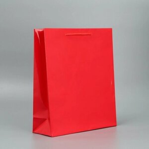 Пакет подарочный ламинированный, упаковка, Red, M 24 х 29 х 9 см, 2 штуки