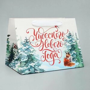 Пакет подарочный с широким дном "Новогодние чудеса", 25 x 19 x 18 см