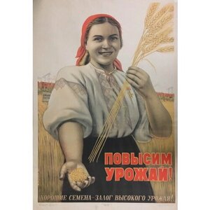 Плакат, постер на бумаге Повысим урожай Хорошие семена-залог высокого урожая/Корецкий В. Б/1952. Размер 60 на 84 см