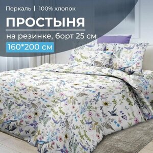 Простыня на резинке 160*200 см, перкаль, борт 25 см (Каролина )