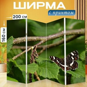 Ширма "Бабочка, крылья, листья" раскладная перегородка для зонирования с принтом на холсте