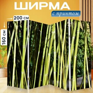 Ширма перегородка с принтом "Бамбук, бамбуковый лес, гигантский бамбук" на холсте - 200x160 см. для зонирования, раскладная