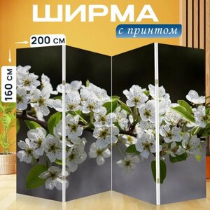 Ширма перегородка с принтом "Флора, белый, дерево" на холсте - 200x160 см. для зонирования, раскладная