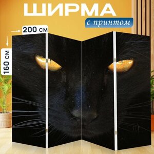 Ширма перегородка с принтом "Кошка, черный кот, желтые глаза" на холсте - 200x160 см. для зонирования, раскладная