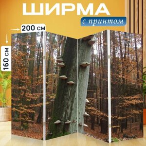 Ширма перегородка с принтом "Падение, лес, дерево грибов" на холсте - 200x160 см. для зонирования, раскладная