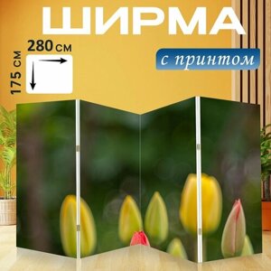 Ширма "Тюльпаны, цветы, бутоны" раскладная перегородка для зонирования с принтом на холсте