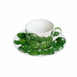 Taitu Фарфоровая чайная пара 230 мл белый/зеленый (5-5-2)
