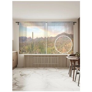 Тюль для кухни и спальни JoyArty "Кактусы в прерии", 2 полотна со шторной лентой шириной по 145 см, высота 180 см.
