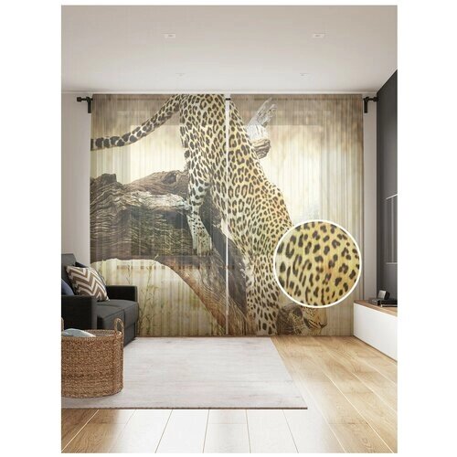 Тюль для кухни и спальни JoyArty "Леопард на дереве", 2 полотна со шторной лентой шириной по 145 см, высота 265 см.