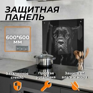 Защитный экран для плиты от брызг стекло "Черная собака 2" 600х600 мм
