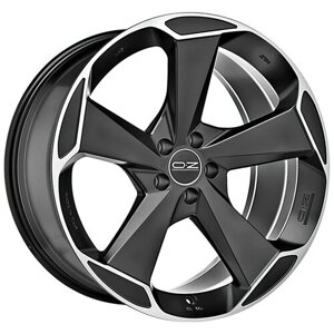 Колесный диск OZ Racing Aspen 9х21/5х112 D79 ET50, matt black diamond cut