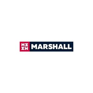 Marshall M8011581 амортизатор газ. задн. лев. BMW X5 (E70) 06-X6 (E71) 07-