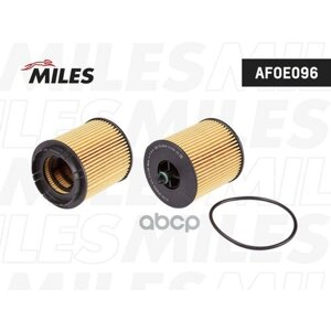 Miles Фильтр Масляный (Вставка) (Opel Astra G/Vectra B/Insignia/Zafira 2.0t/2.2) (Filtron Oe648/3, Mann Hu6007x, Vic O-902) Afoe096 Miles арт. AFOE096