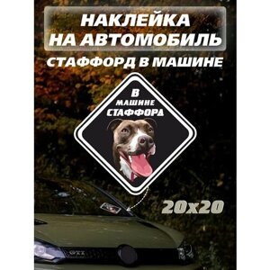 Наклейка в машине стаффорд собака наклейки на авто надписи