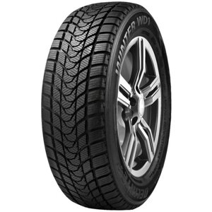 Шина Delinte Winter WD1 225/55 R17 97T