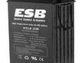 Аккумулятор тяговый ESB HTL6-330 GEL (6В 330 Ач) от компании MetSnab - фото 1