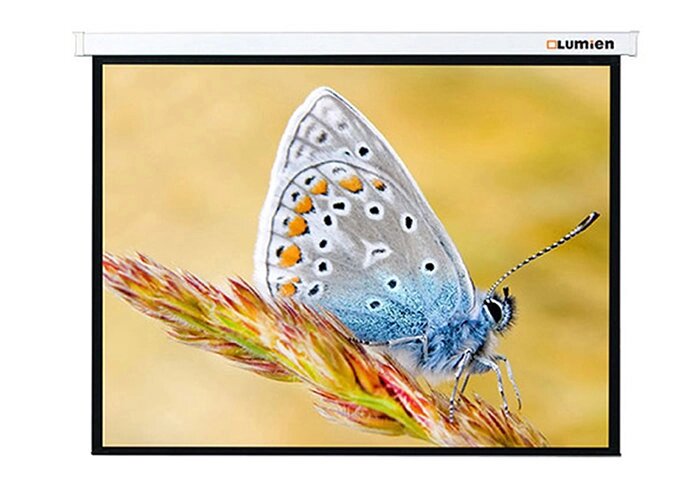 Экран с электроприводом Lumien Master Control LMC-100112 (4:3) 406x305 (398х297, MW) от компании MetSnab - фото 1