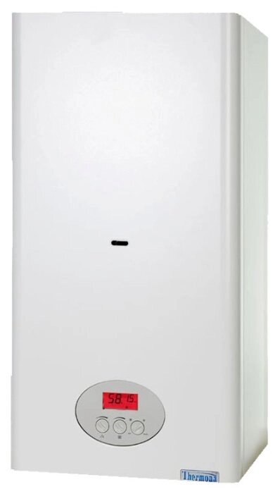 Газовый котел Thermona THERM 14 LN 14 кВт одноконтурный от компании MetSnab - фото 1