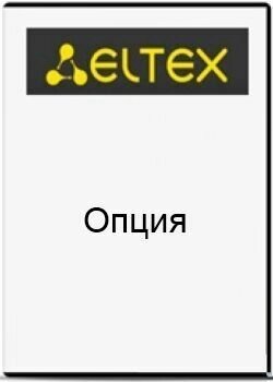 Опция ELTEX SBC1-RESERVE для активации резервирования SBC на платформе SMG-1016M от компании MetSnab - фото 1