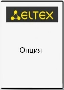 Опция ELTEX SMG-SPC для активации функционала полупостоянных соединений для цифровых шлюзов SMG-2/SMG-4 от компании MetSnab - фото 1