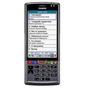 Терминал сбора данных CASIO IT-G500 IT-G500-25E