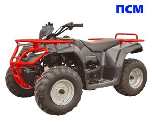 Квадроцикл IRBIS ATV250 250см3 Черный