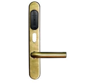 Электронные и электромоторные замки Gate Gate-IP-Lock (IP500)