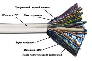 LANMASTER Кабель информационный TWT-5EFTP25-LSZH кат. 5е SF / UTP общий экран в оплётке 25X2X24AWG LSZH внутренний 305м