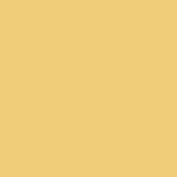 Краска Sherwin-Williams SW 9022 Yellow Bird SherLastic Elastomeric 19 л (на 118-138 кв. м в 1 слой, акриловая, для