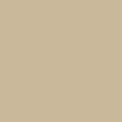 Краска Sherwin-Williams SW 0011 Crewel Tan SherLastic Elastomeric 19 л (на 118-138 кв. м в 1 слой, акриловая, для