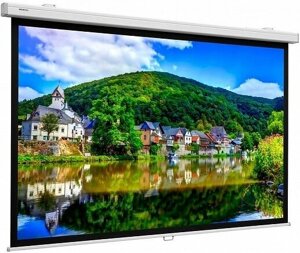 Экран настенный Projecta ProScreen CSR Datalux 154х240 см (10200315)