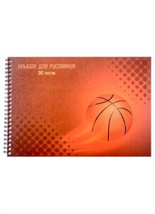 Альбом для рисования 30л Basketball гребень, мел. картон, выб. лак