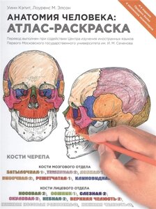 Анатомия человека: атлас-раскраска