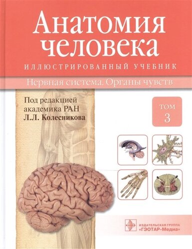 Анатомия человека. Учебник: Том 3. Нервная система. Органы чувств