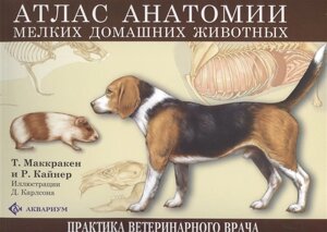 Атлас анатомии мелких домашних животных (305х230)