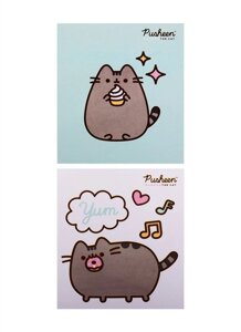 Блоки для записей 02шт 50л Pusheen инд. уп.