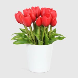Букет Конэко-О 10148x2 тюльпаны белое кашпо 28 см
