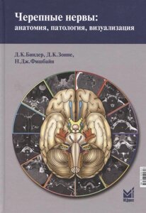 Черепные нервы: анатомия, патология, визуализация