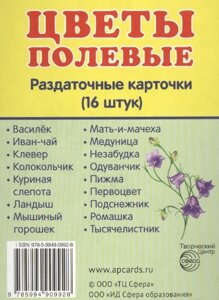 Цветы полевые. Раздаточные карточки (16 штук)