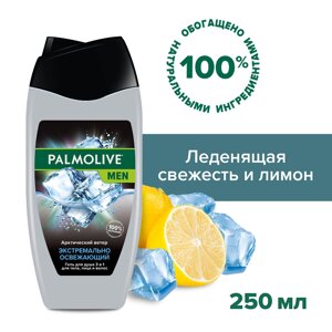 Гель для душа мужской Palmolive MEN Арктический ветер 3 в 1 для тела, волос и лица, 250 мл