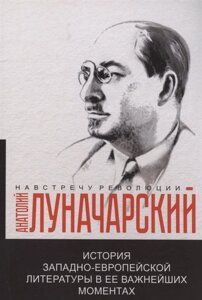 История западно-европейской литературы в ее важнейших моментах