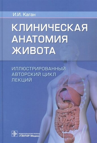 Клиническая анатомия живота. Иллюстрированный авторский цикл лекций