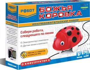 Конструктор ND Play Робот Божья коровка