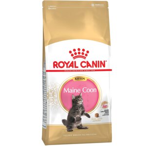 Корм для котят Royal Canin Maine Coon Kitten, птица 2 кг