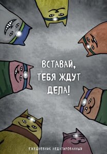 Коты-туристы. Вставай, тебя ждут дела. Ежедневник недатированный (А5, 72 л.)