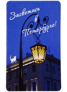 Магнит СПб Засветись в Петербурге (фото) (9х5,5) (винил)